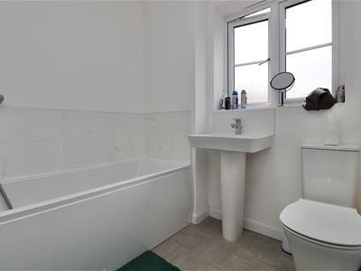 Picture 12